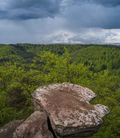 Blick vom Drachenfels | © David Hajnal | Adobe Stock